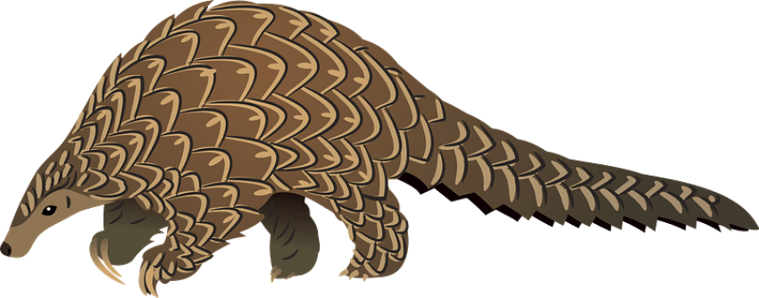 Clipart Wildlife Animal Of Pangolin PNG Free Transparent background