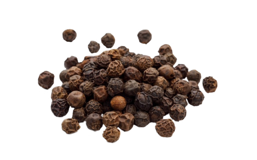 Black Chili Pepper PNG Image Free Download