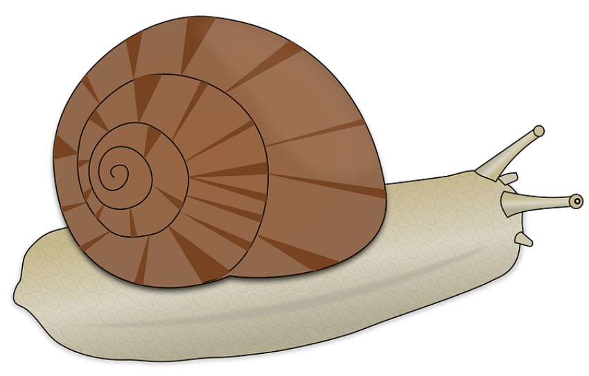 Cartoon PNG Slug Image Transparent Background Free Download