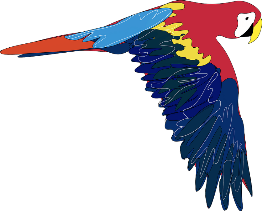 Macaw PNG Flying Image Download Free Transparent