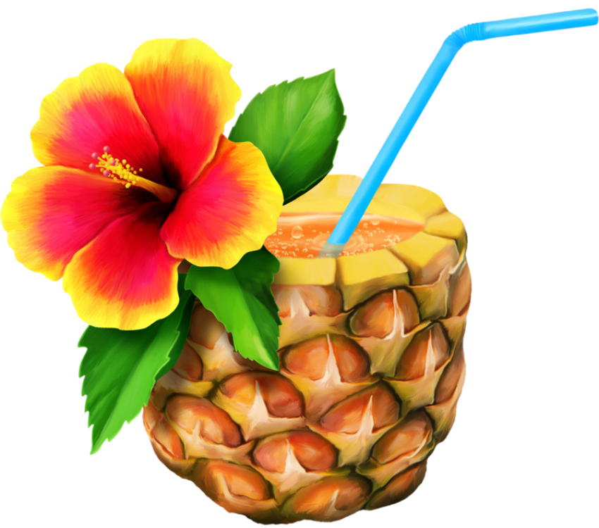 Stock Illustration Vector Art Orange and Yellow Hibiscus Flower on Pineapple Juice Art Image Transparent Background PNG Free Download
