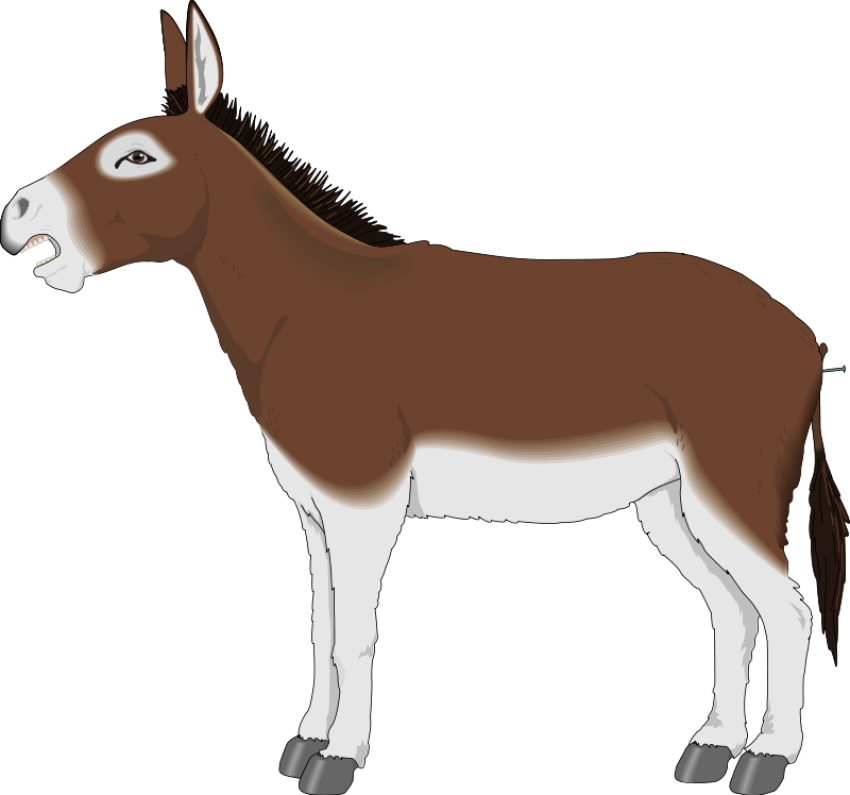 Clipart Mule PNG Donkey Animal Image Free Transparent