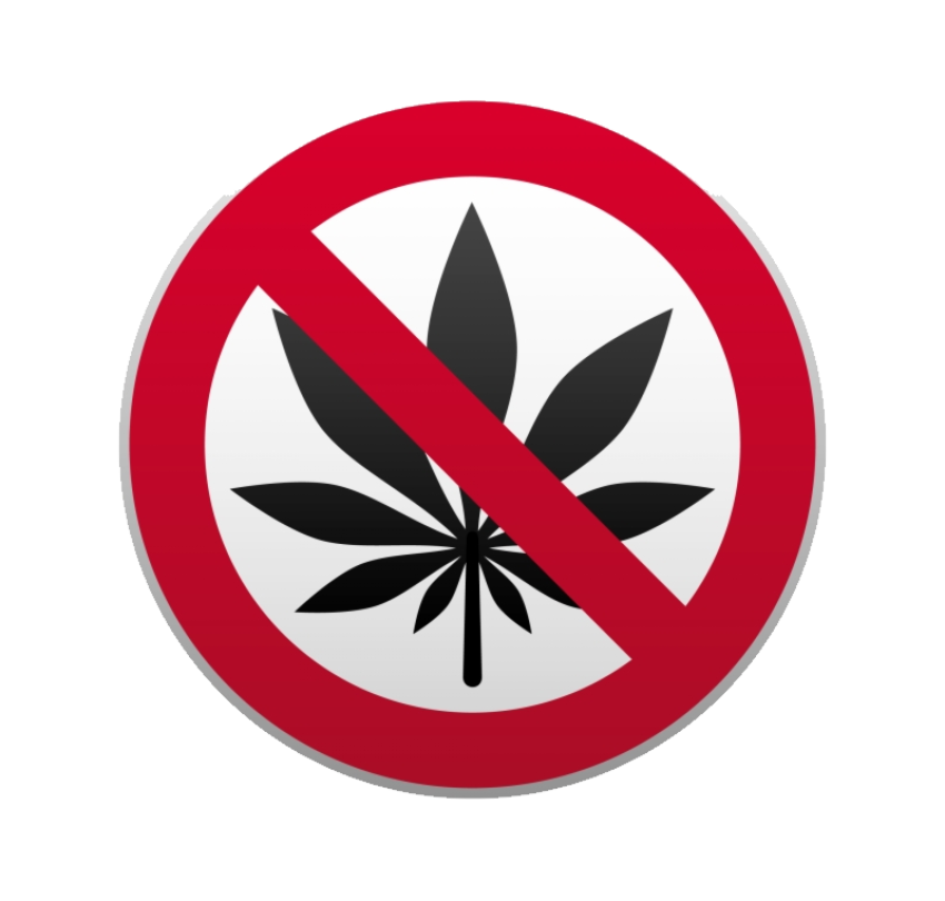 Aesthetic No Drugs PNG Sticker Free Download