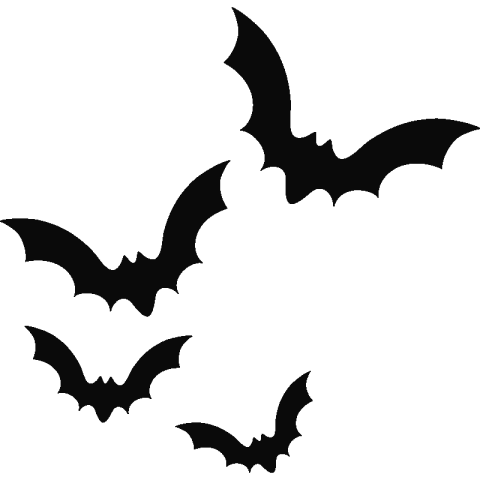 Four Bats birds is png free to use
