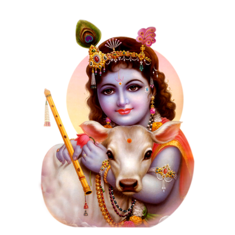 Litter Krishna God PNG Transparent Pic