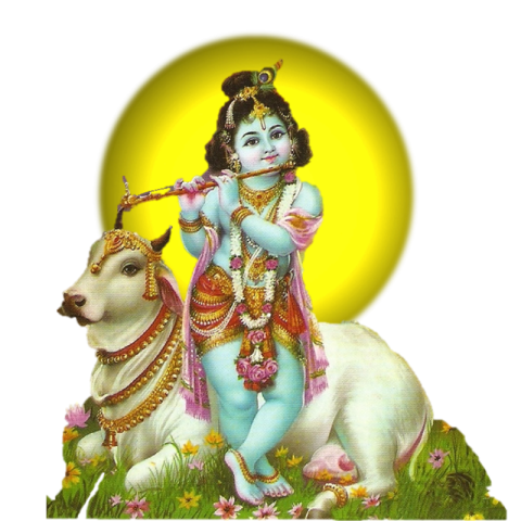 Happy Jasmashtami Krishna PNG Image
