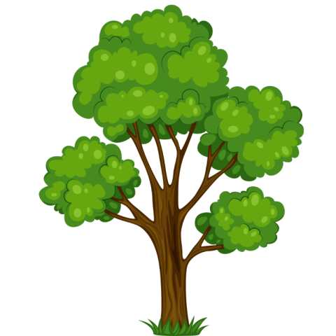 Download Cartoon Tree PNg free Vector