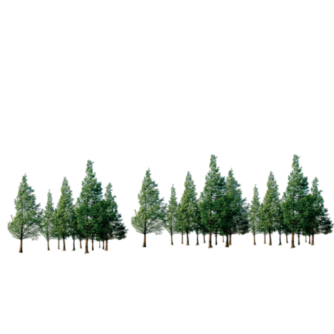 Free Christmas Tree Clipart PNG Download