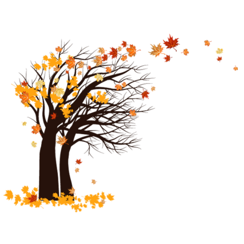 PNg Download Fall Tree Free Transparent
