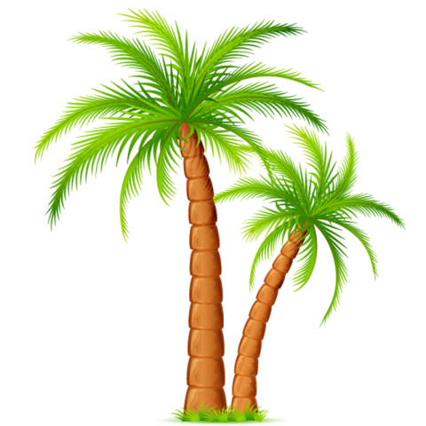 PNG Palms Silhouette Tree PNG Transparent Backgound