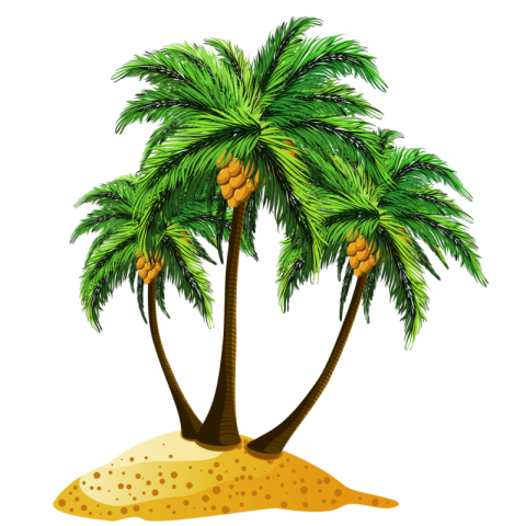 PNG Image Palm Tree Free Transparent PNG Vector Stock  (1)