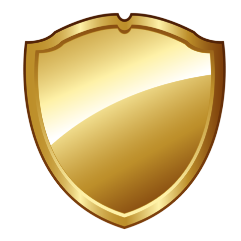 Shield PNG transparent ICon