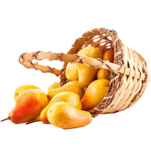 Tasty juicy Crumble Mango Baske  fruits basket of Mango PNG download