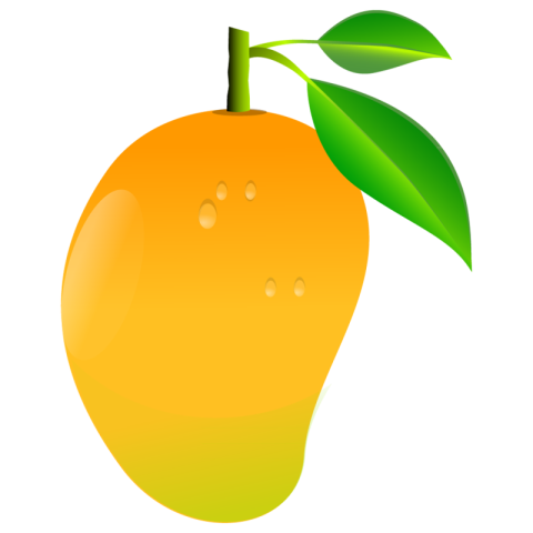 Big Royalty Vector Graphic Mango Image PNG transparent free download