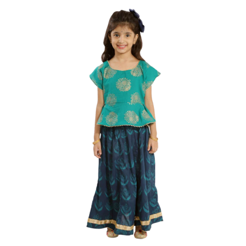 Royalty Free Indian Dress PNG Photo Transparent Background