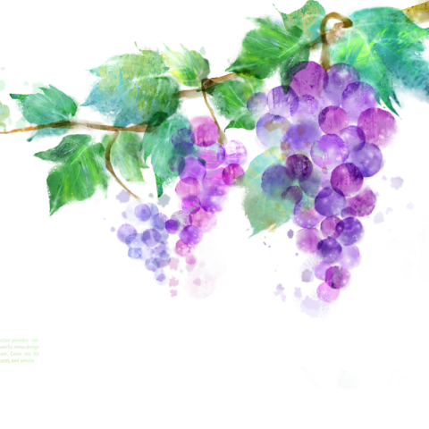 HD Handmade Art Fingure Grapes Drawing PNG Picture Free Download