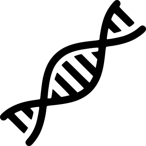 Vector DNA PNG Image  Transparent Free Download