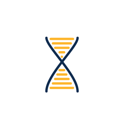 DNA PNG Vector Art Image PNG Free Download