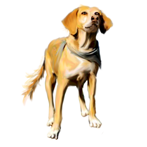 Beautiful dog element in scarf  PNG Download