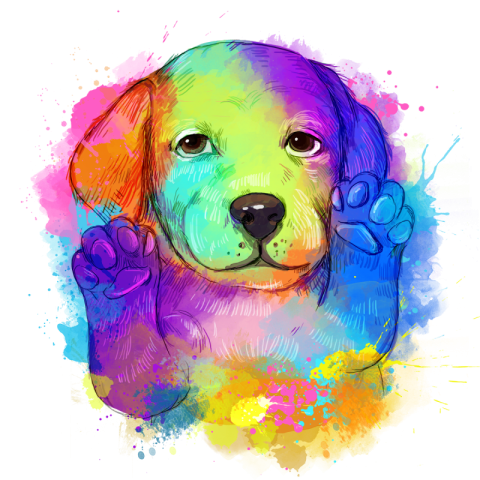 Dog color lovely animal watercolor PNG Free Download