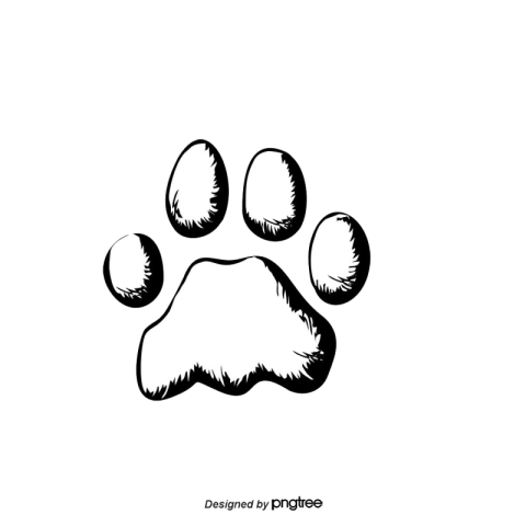 Vector dog claw PNG Free Download