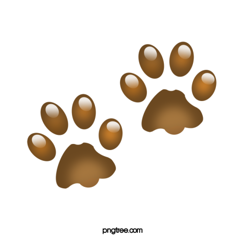 Paw Prints red dogs Free png Download