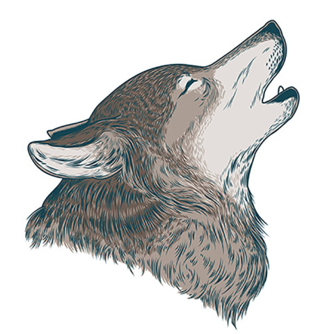 Vector illustration of a howling wolf