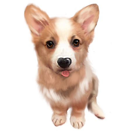 Kirky dog hand painted illustration elements Free PNG