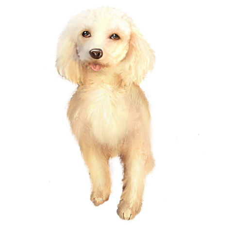 Pet dog hand painted illustration elements PNG free Download