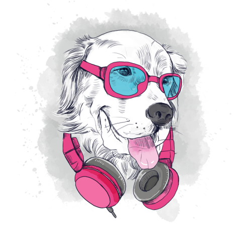 Hip dog with sunglasses PNG Download