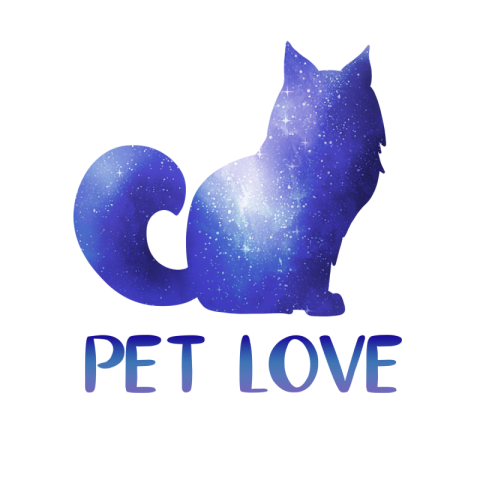 Star cat silhouette design PNG free Download