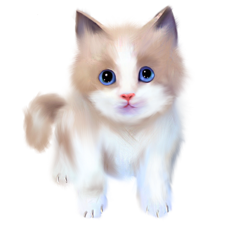 Cute blue eyed hand painted white cat PNG Free Download