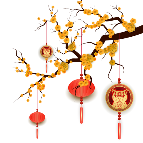 Vietnamese new year apricot flower PNG Free Download