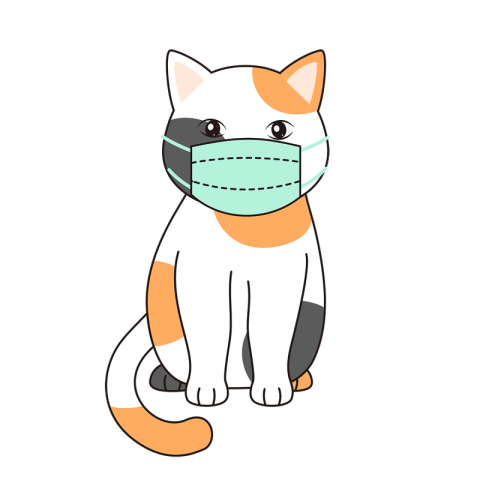 Cute cats in epidemic preventioncovid PNG Free Download