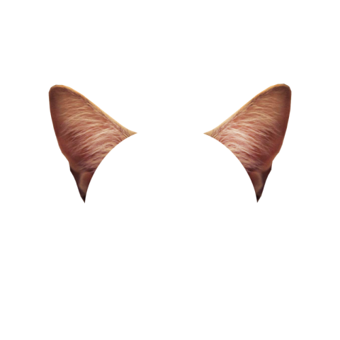 Cat ears k kitty animals PNG Free Download