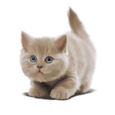 Pngtree—gray blue eyed plush cute kitten 4186117