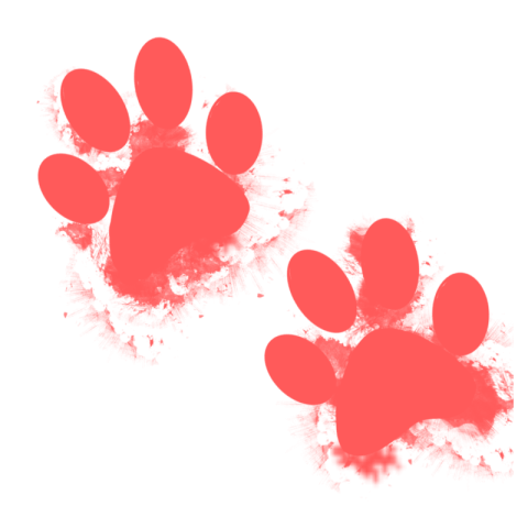 Cat paw stains PNG free Download