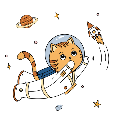 Chasing rocket of orange cat Free PNG Download