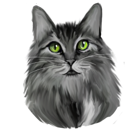 Green eyed grey cat head element PNG Free Download