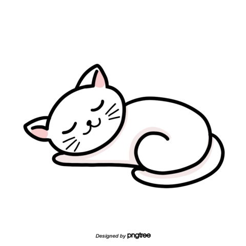 A white cat sleeps on PNG Download