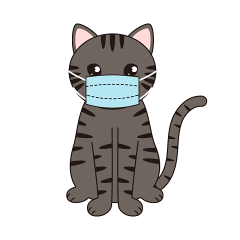 Cartoon cat with a mask PNG Free Download