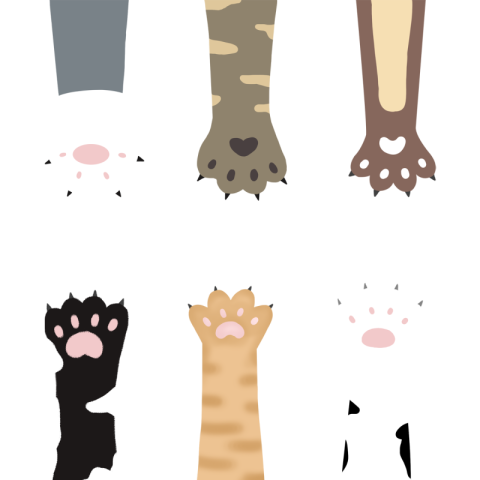 Cute cat paw cartoon clipart Free Download PNG