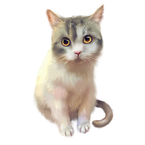 Cute white cat hand painted elements  Free PNG