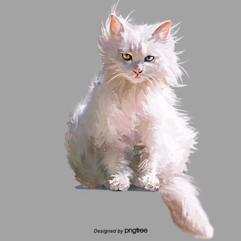 White cat hand painted elements Free PNG