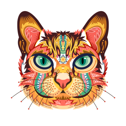 Mandala pattern artistic colorful cat PNG Free Download
