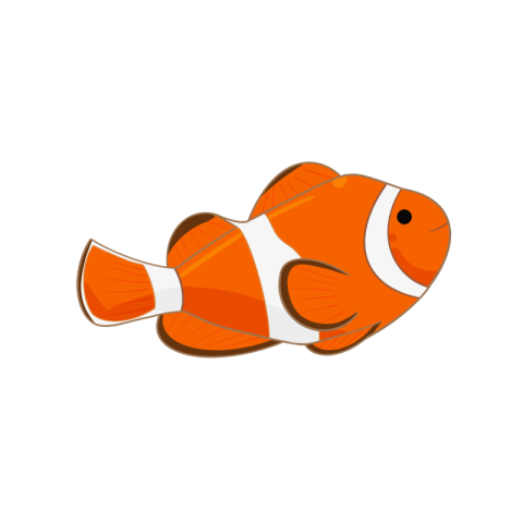 Marine life cute clown fish PNG Free Download