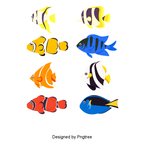Six cartoon fish PNG Download