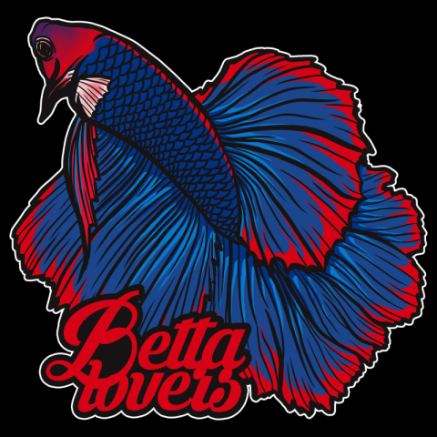 Betta fish cartoon PNG free Download