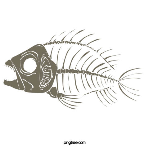 Fish bones PNG Free Download