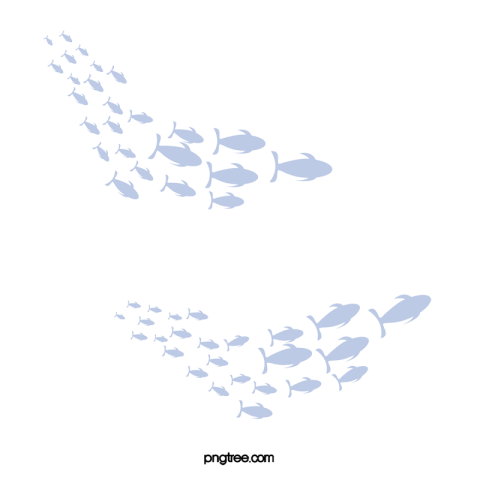Swarms of little fish swimming PNG Free